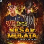 Yomo Ft. Bayron - Esa Mulata MP3